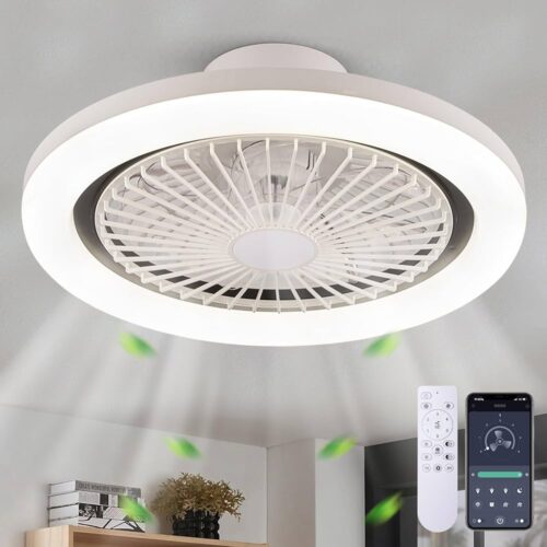 Blitzwill AirGlow Ceiling Fan